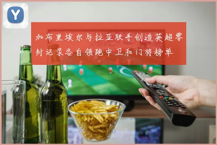 加布里埃尔与拉亚联手创造英超零封记录各自领跑中卫和门将榜单