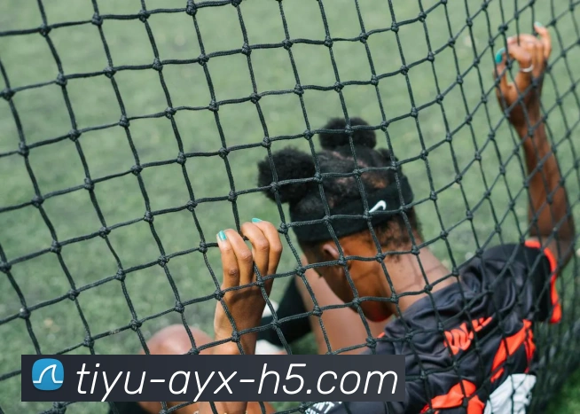 爱游戏发展历程